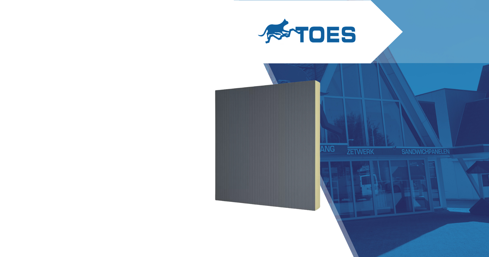 Budgetpaneel ZB Wall 1000 40 9002